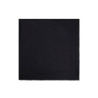 ELISABETTA FRANCHI FOULARD SC10F56E2